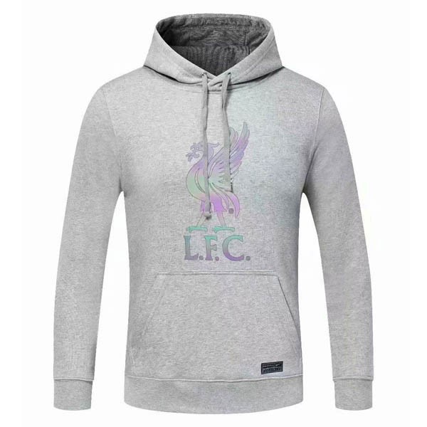 Sudaderas Con Capucha Liverpool 2020-2021 Gris